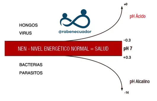 potencia de hidrógeno y biomagnetismo